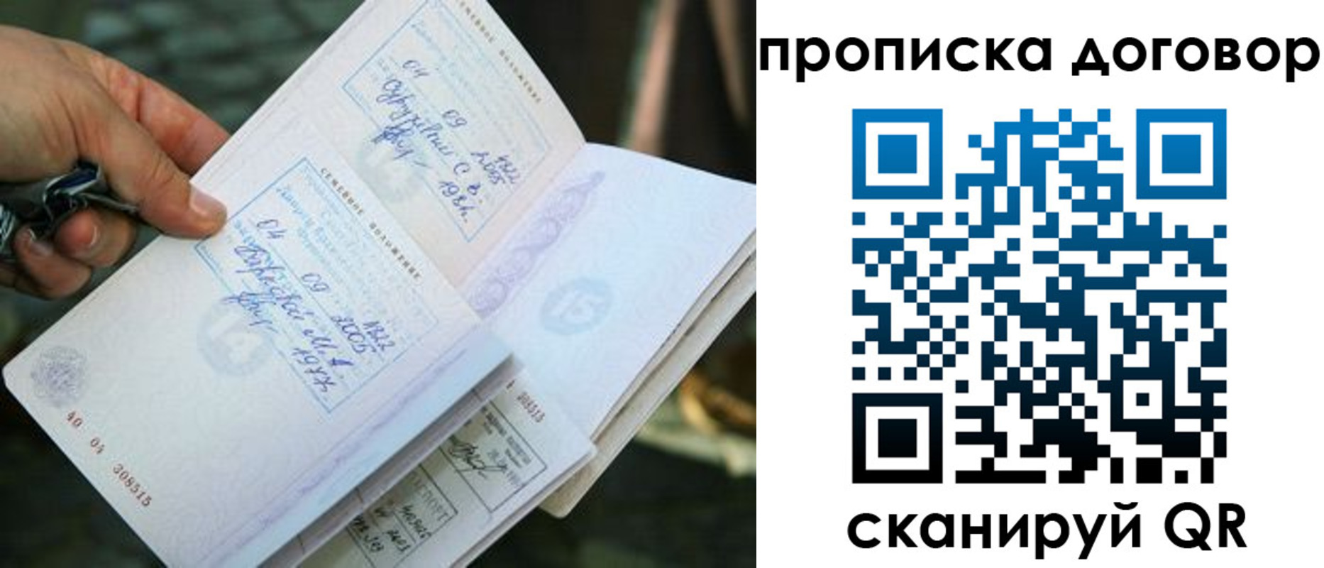 прописка для школы в Всеволожске